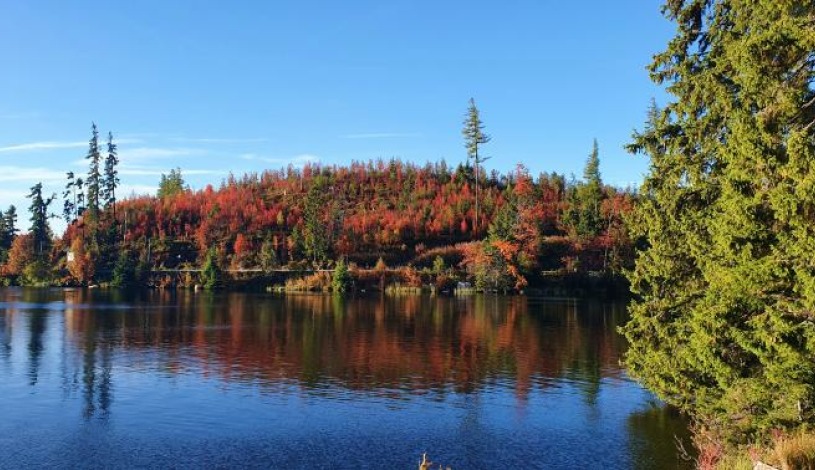 Hotel CROCUS **** Vysoké Tatry